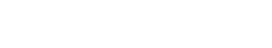 Team Transformerz
